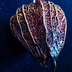 electra bloom
